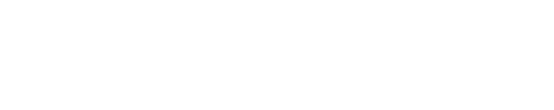 SebGuard.com